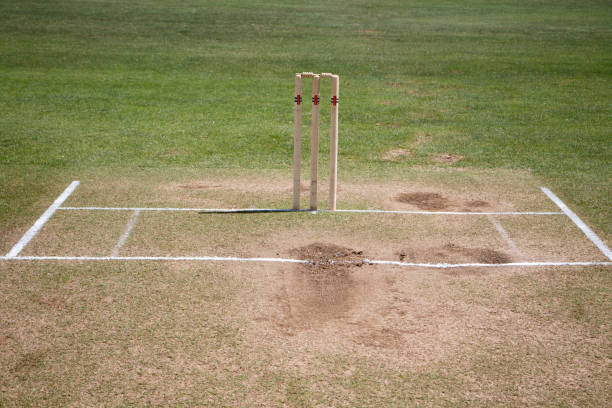 The impact of cricket on mental health advocacy: Raising awareness through sport