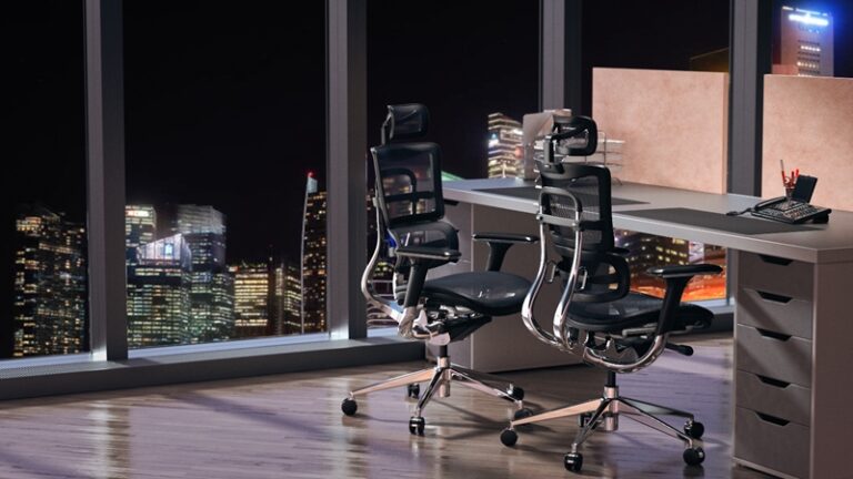 Ergoworks vs. Take A Seat: Choosing the Best Ergonomic Office Chair