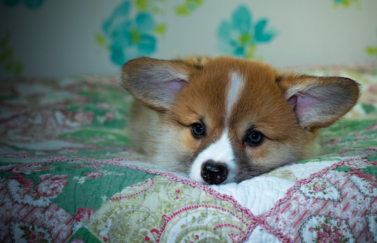 99exch Review: How India’s Emerging Exchange Platform Is Shaping Digital Trade